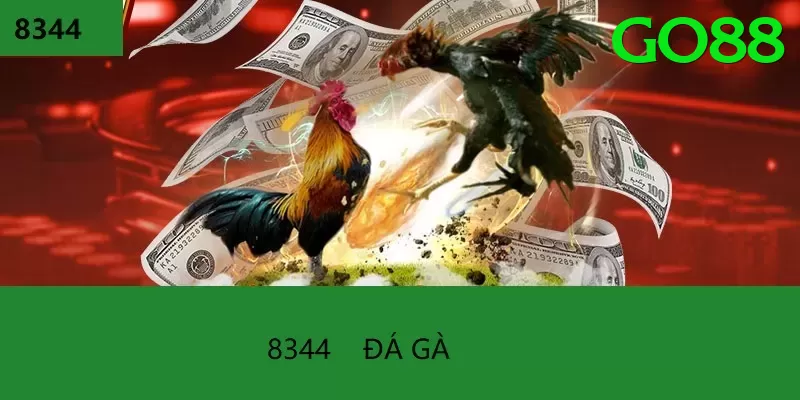 Cách Đọc Kèo Đá Gà - Tải về